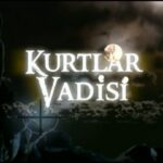 Kurtlar Vadisi Testi ne hoş geldiniz.
