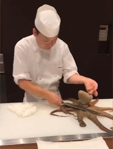 AHTAPOTU CANLI KESTİ